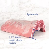 Middle – excluding breast flanks Meat Cut Spec Step 1